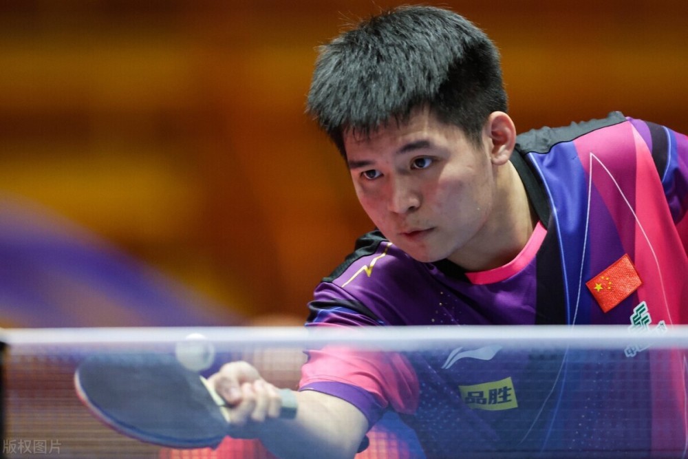 合作领域的 合作领域的