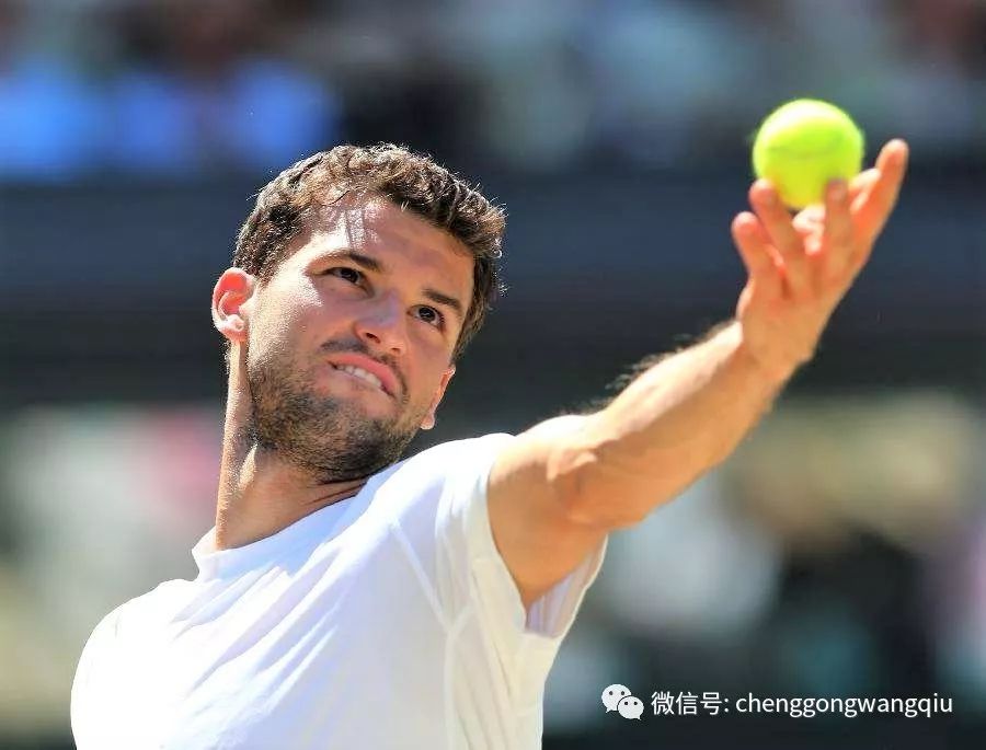 多样化的盈 多样化的盈